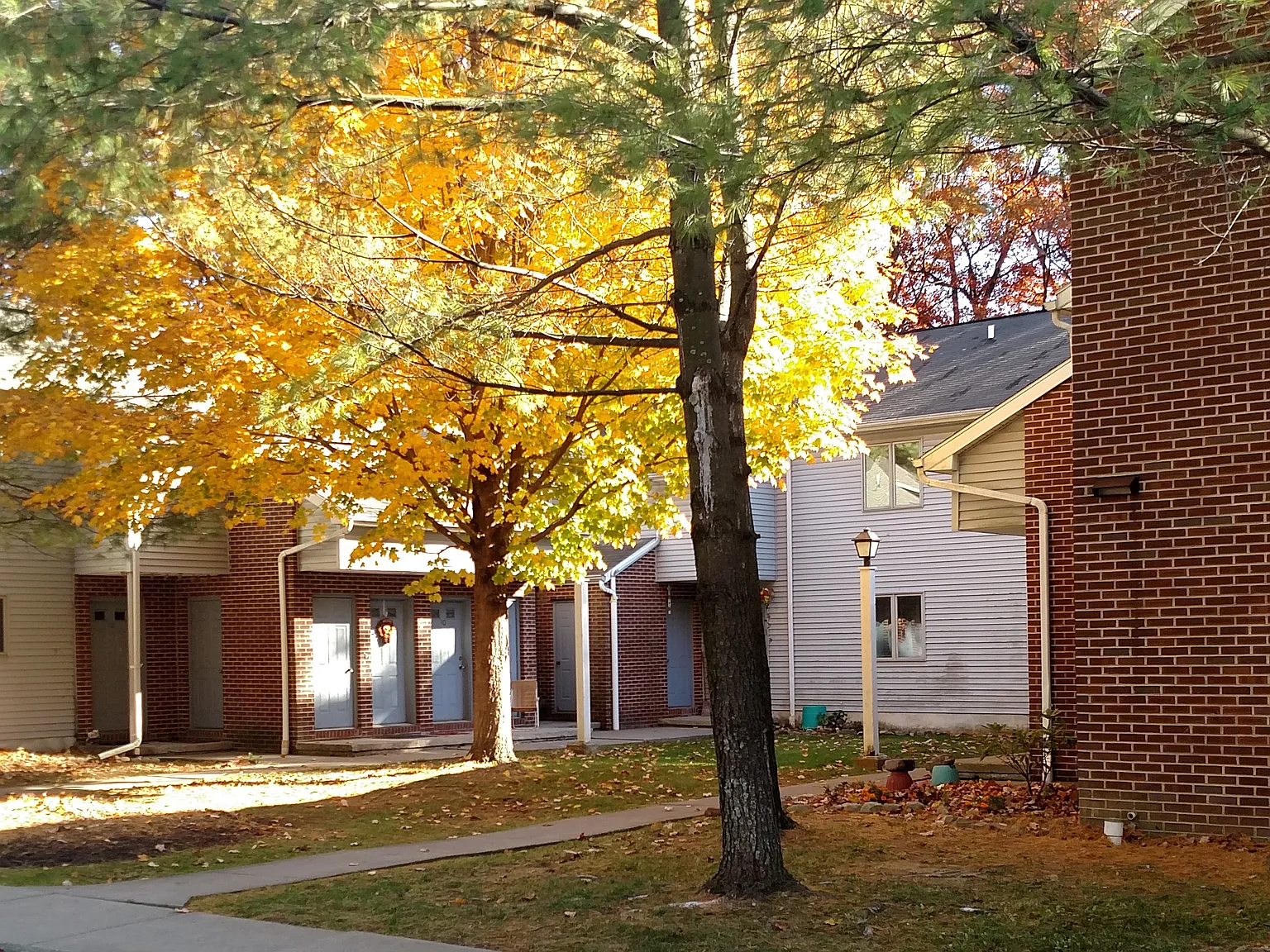 2 bed, 700 sqft, $1,350 — Photo 3
