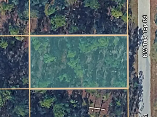 0 NW Tree Top Rd #21, Dunnellon, FL 34431