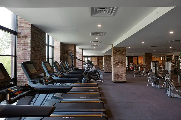 Rented by Aura Management | media 19