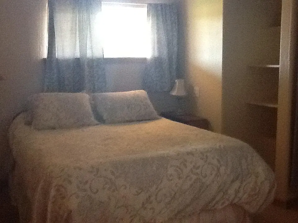 1 bed, 575 sqft, $1,100 — Photo 3