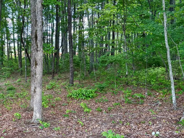 LOT 49 Bakers Ter, Spencer, TN 38585