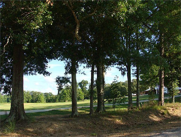 2nd image of 468 Hutchins Landing Rd
