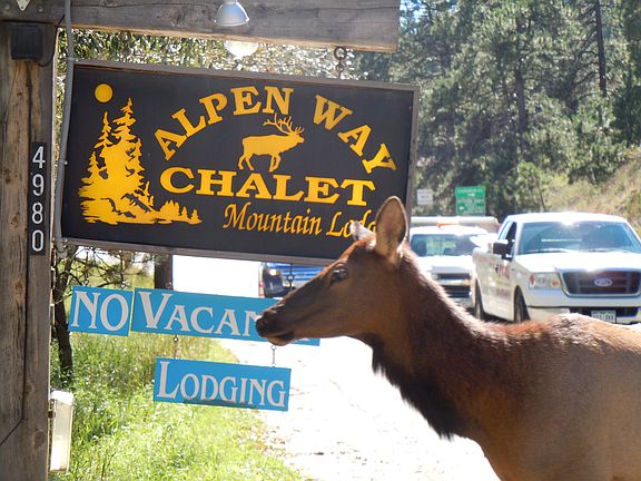 Some friends who visit