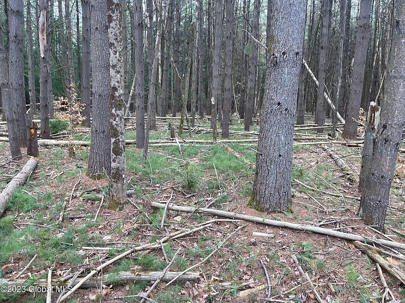 4th image of 00 Partridge Rd