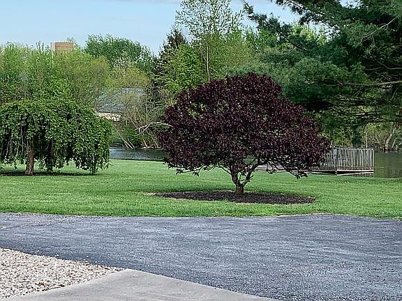 2nd image of 2105 Benson Pike