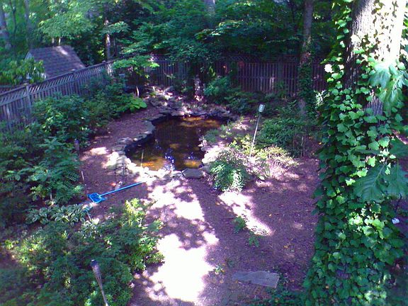 back yard pond