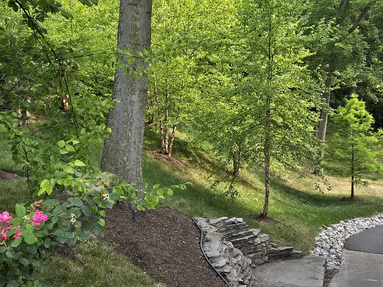 334 Forest Ave #A1 — Photo 31