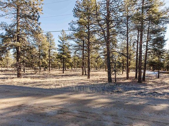 4th image of 16 S Squaw Canyon Place