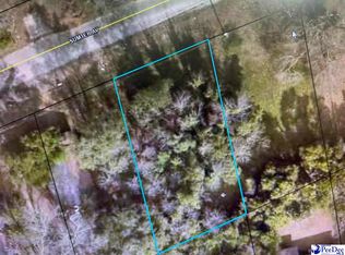 431 Sumter Ave, Hartsville, SC 29550