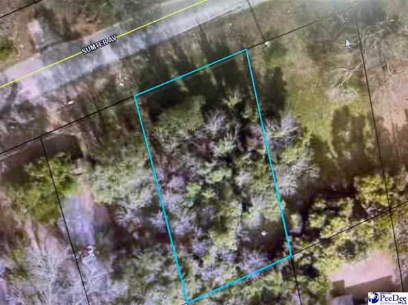 431 Sumter Ave, Hartsville, SC 29550