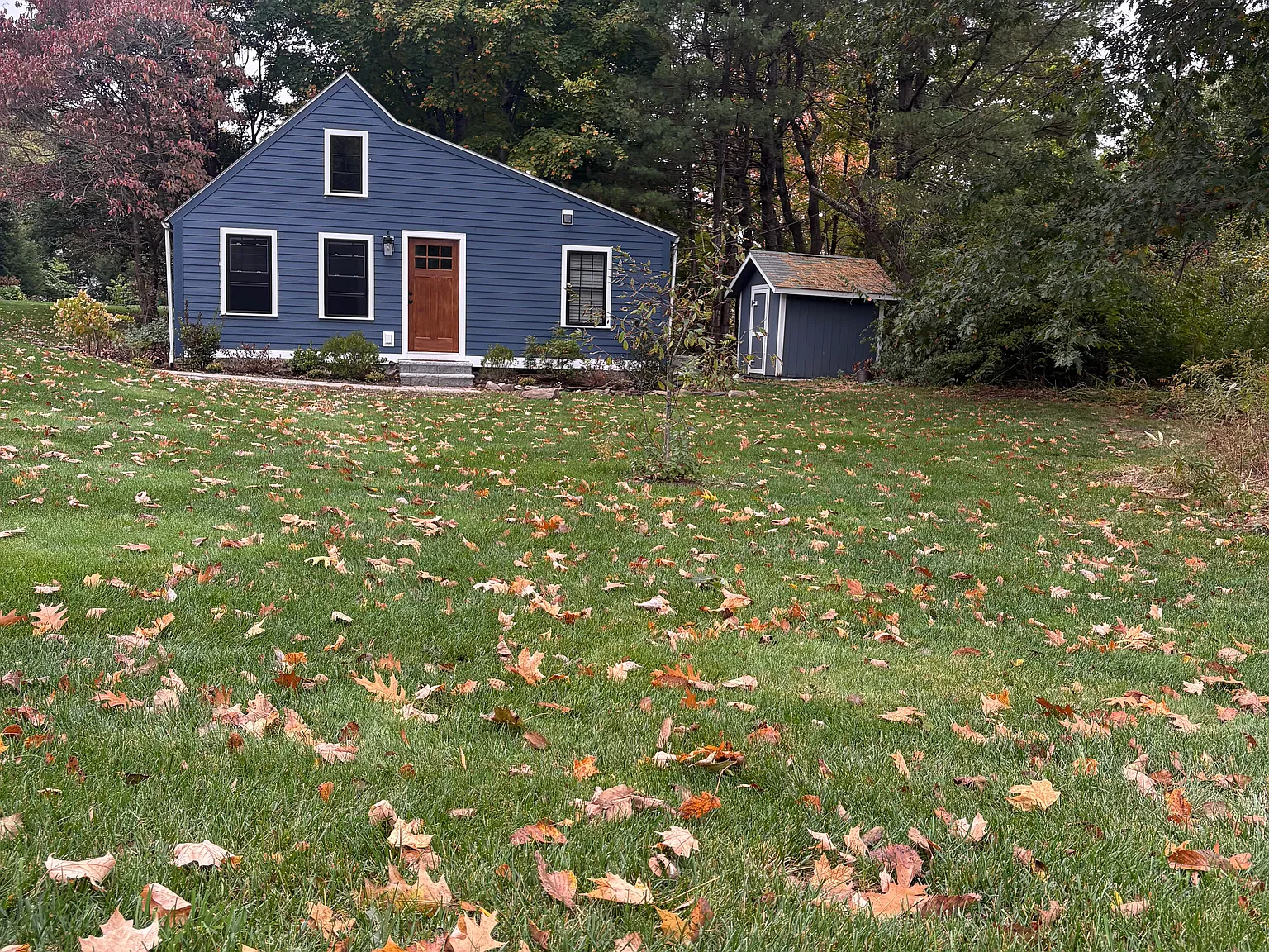 Studio, 525 sqft, $2,300 — Photo 2