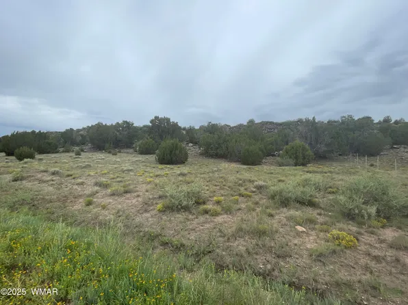 83 Charleen Dr, Concho, AZ 85924