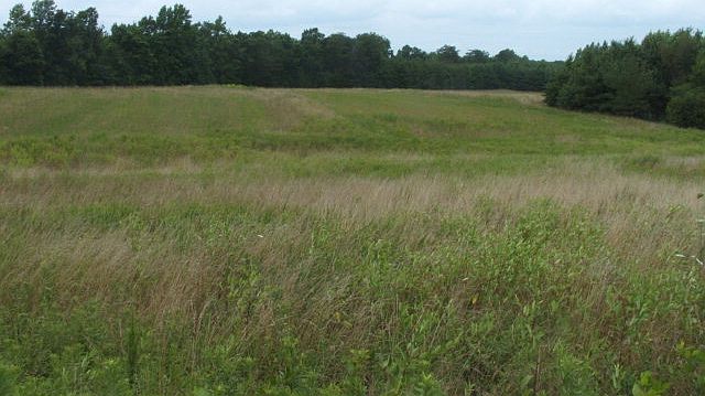 2nd image of 982 Abilene Rd