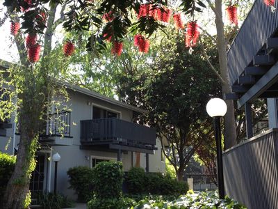9085 Alcosta Blvd APT 344, San Ramon, CA, 94583