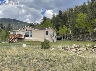 24 Diamond Ln, Lake George, CO 80827