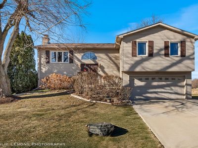 409 N Ashbury Ave, Bolingbrook, IL, 60440