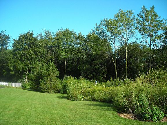 north lawn & conservation area
