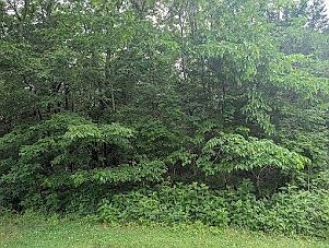 1st image of 171 Echols Rd