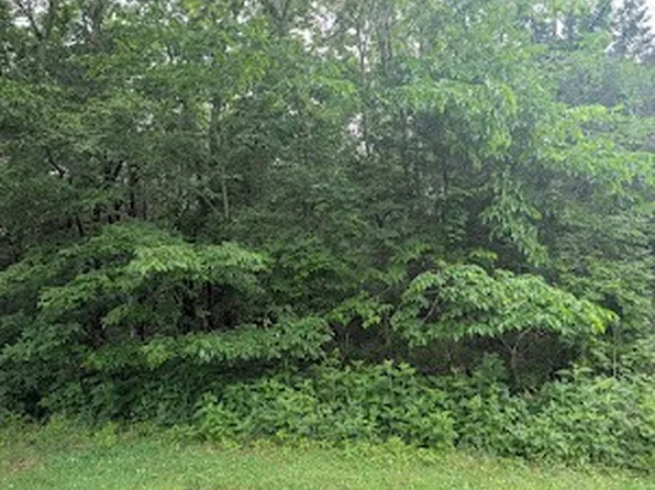 171 Echols Rd, Elora, TN 37328