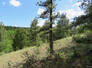 0 Come See Pne, Central City, CO 80427