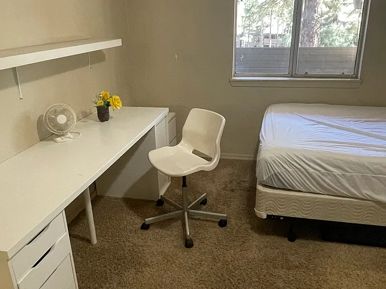 1385 W University Ave #228 — Photo 14