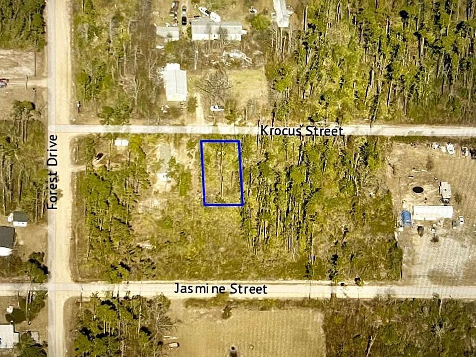 2nd image of 11808 Krocus St