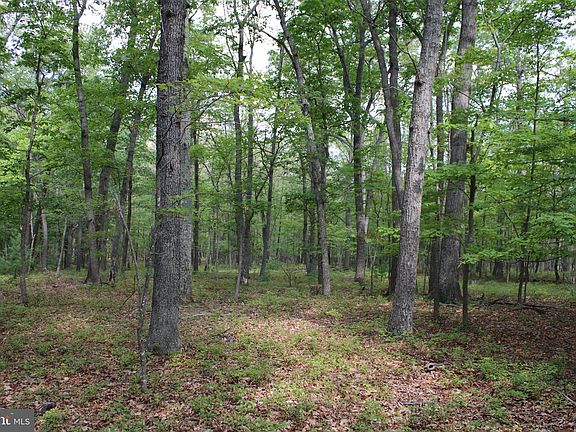 4th image of 12 Evergreen Farms Dr