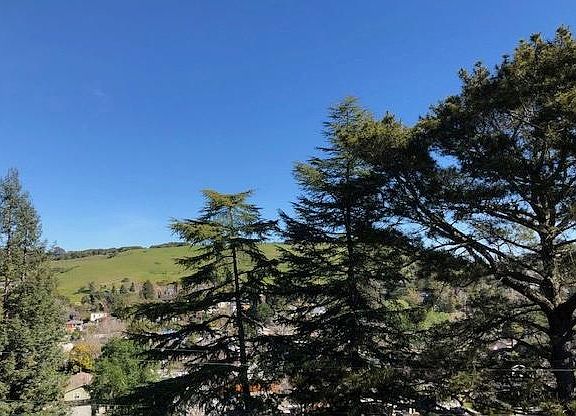 View of Horse Hill from apartment deck.