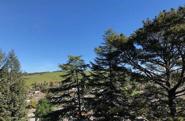 View of Horse Hill from apartment deck.