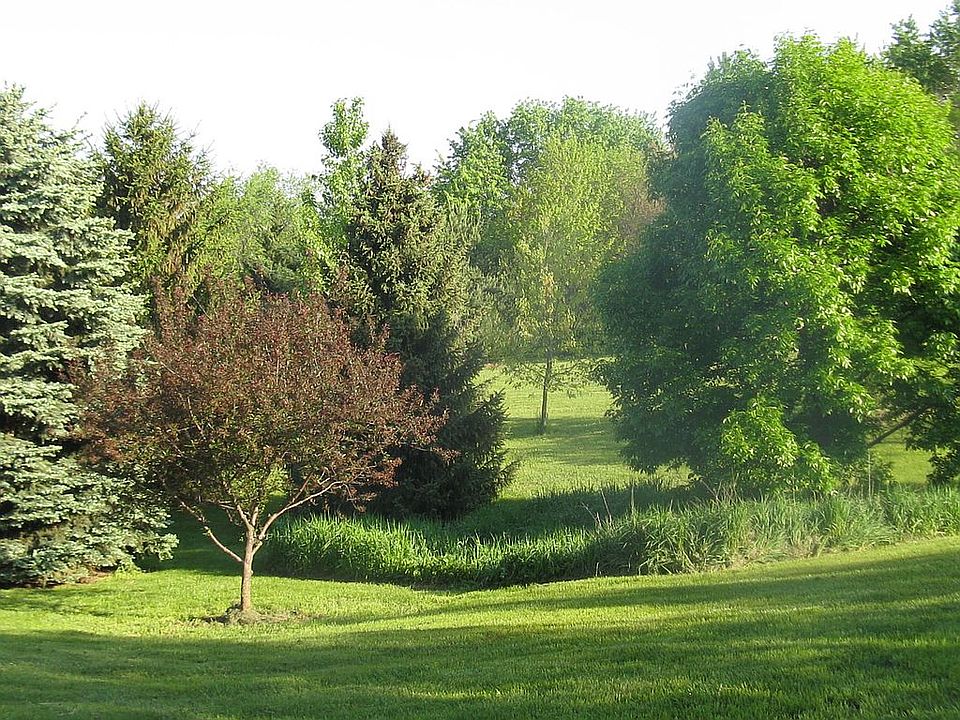 2nd image of 112 Mallard Ln