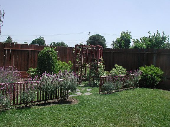 back yard