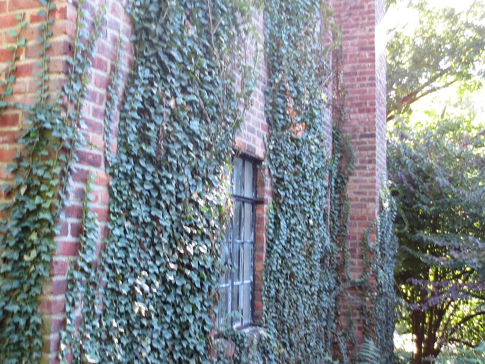 1st image of 53 Coralyn Ave
