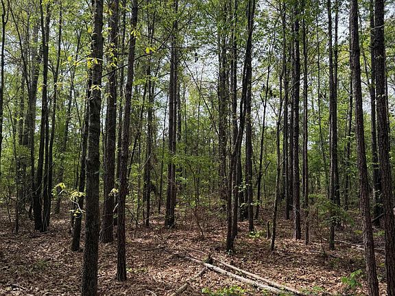 2nd image of Old Jackson Rd