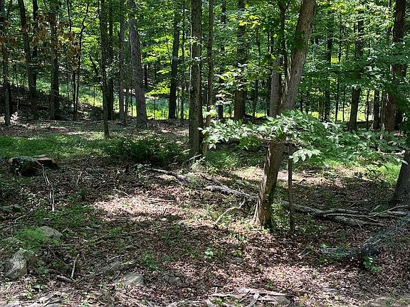 2nd image of 43 Seneca Ridge Rd