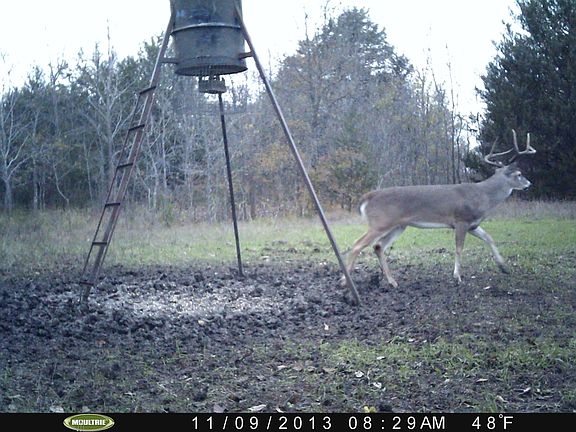 4th image of 2434 Fm 2649