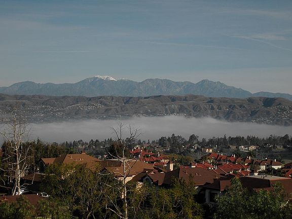 Backyard View