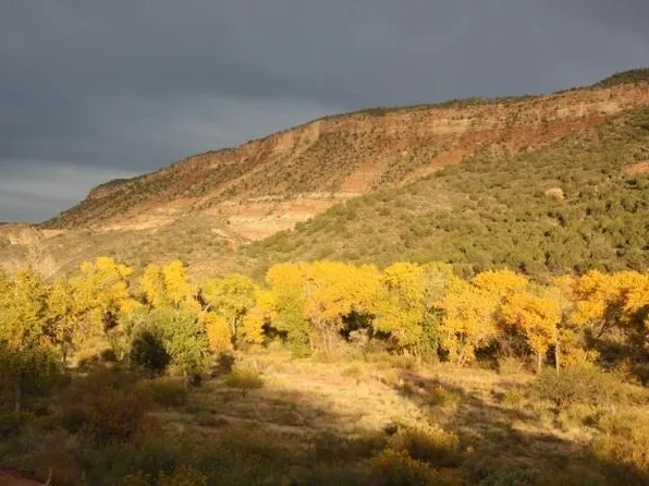 N Kolob Terrace Rd, Virgin, UT 84779