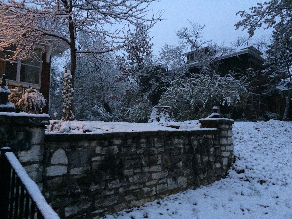1st image of 8247 Jackson Ave