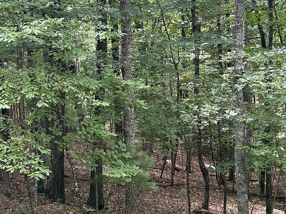 2nd image of 1.5 Liberty Hill Rd