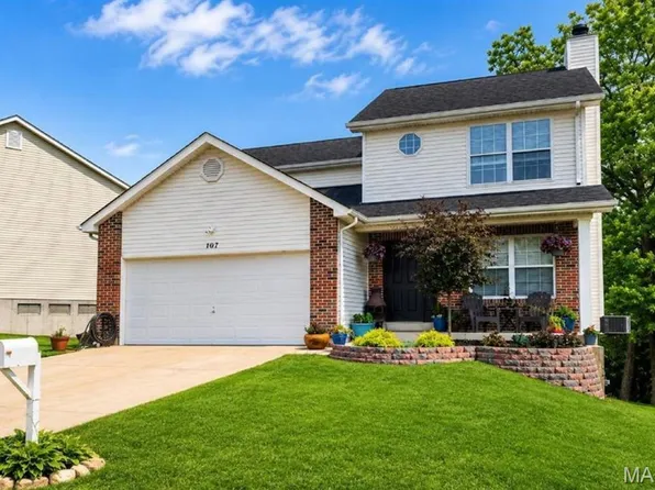 107 Ezekiel Ct, Hillsboro, MO 63050