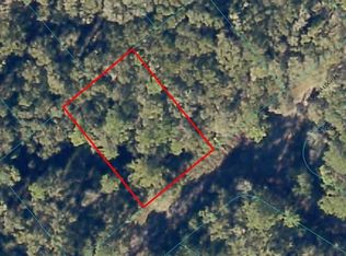 Sequoia Loop Pl LOT 13, Ocklawaha, FL 32179