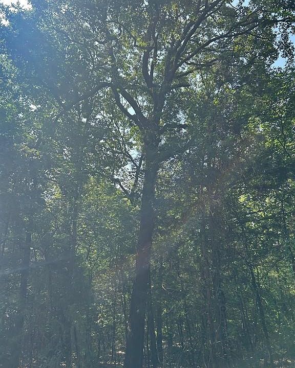 1st image of 0 County Road 4224