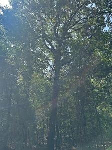 0 County Road 4224, Mount Pleasant, TX, 75455