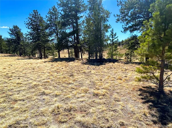 Singletree Road LOT 51, Buena Vista, CO 81211