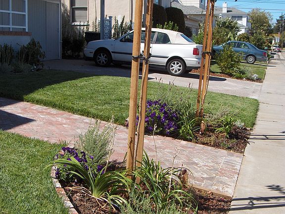 Front Landscape