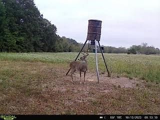 4th image of 279 Fm 71 W