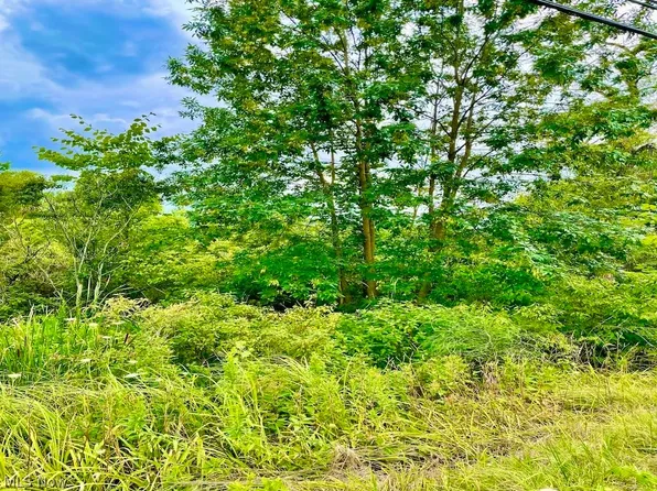 82 State Rte, Mantua, OH 44255