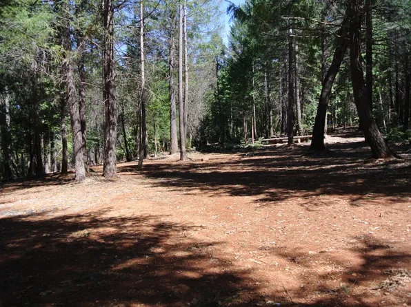 6948 Blackhawk Ln, Foresthill, CA 95631