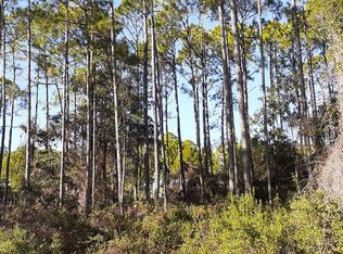 123 Royal Tern Way, Carrabelle, FL 32322