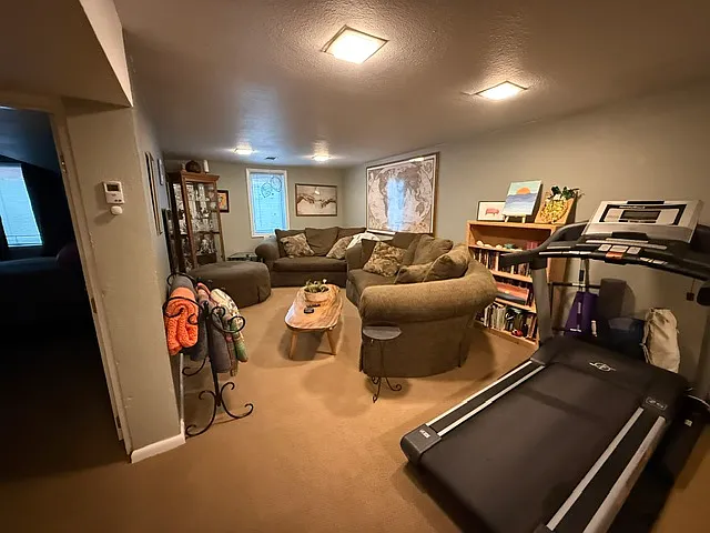 basement family room/rec room